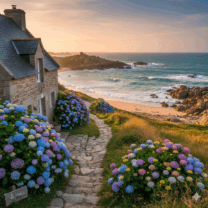 créer site web - gite web du leon